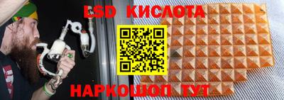 ешки Новодвинск