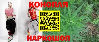 ешки Новодвинск