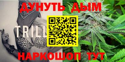 шишки Новозыбков