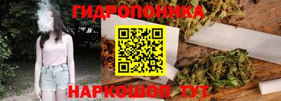 стафф Новокубанск
