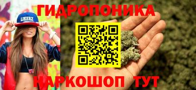 стафф Новокубанск