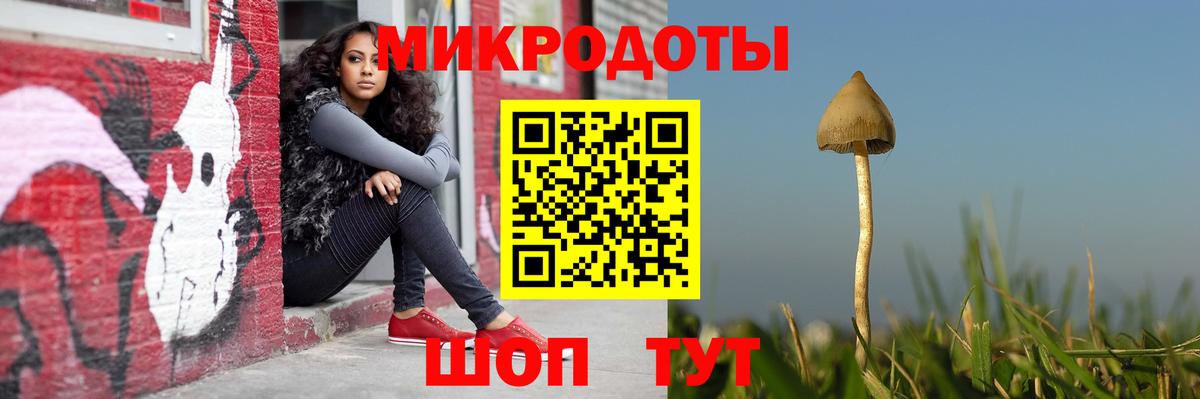 Псилоцибиновые грибы Cubensis Славгород