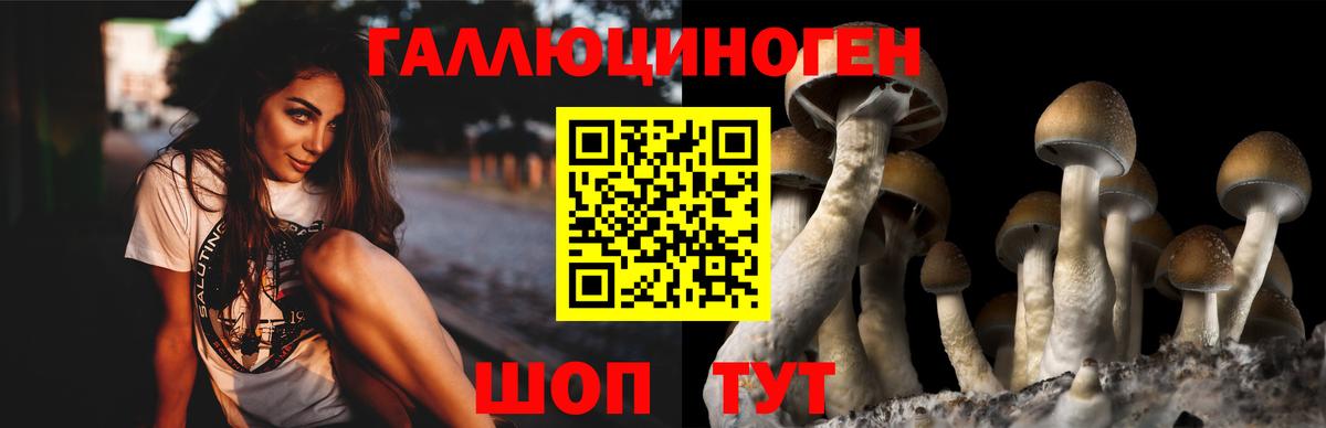 Галлюциногенные грибы мицелий  Вход с VPN  Галлюциногенные грибы прущие грибы  Славгород 